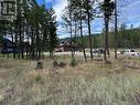 Lot 40 Pine Ridge Mountain  Lane, Invermere, BC 