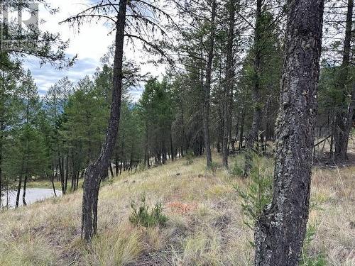 Lot 40 Pine Ridge Mountain  Lane, Invermere, BC 