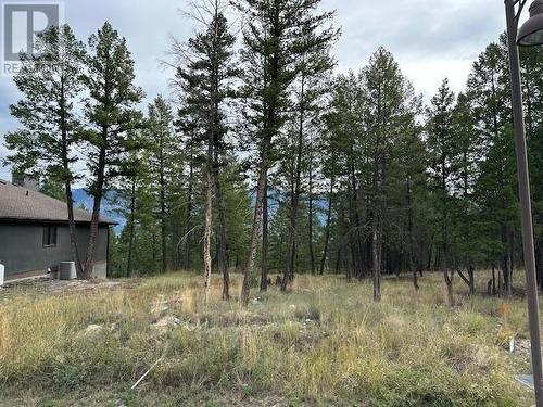 Lot 40 Pine Ridge Mountain  Lane, Invermere, BC 