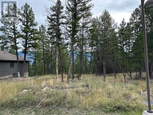 Lot 40 Pine Ridge Mountain  Lane, Invermere, BC 