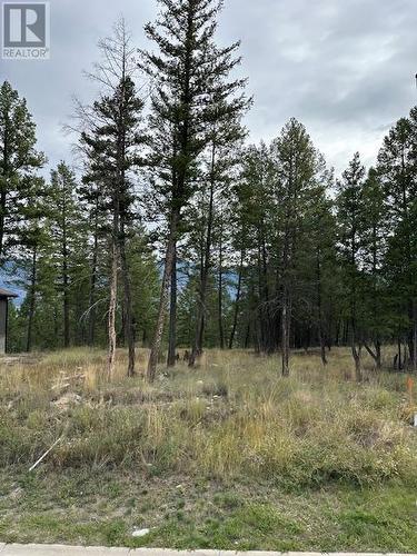 Lot 40 Pine Ridge Mountain  Lane, Invermere, BC 