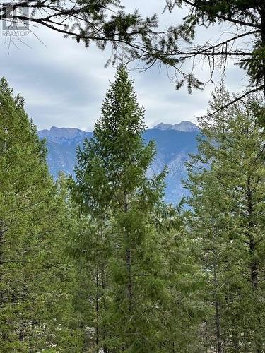 Lot 40 Pine Ridge Mountain  Lane, Invermere, BC 