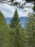 Lot 40 Pine Ridge Mountain  Lane, Invermere, BC 