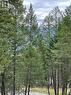 Lot 40 Pine Ridge Mountain  Lane, Invermere, BC 