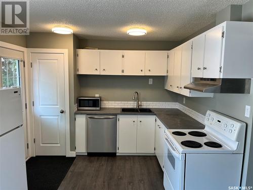 106 Ramsay Court, Saskatoon, SK - Indoor Photo Showing Kitchen With Double Sink