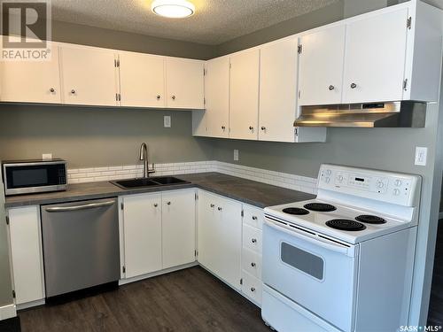 106 Ramsay Court, Saskatoon, SK - Indoor Photo Showing Kitchen With Double Sink