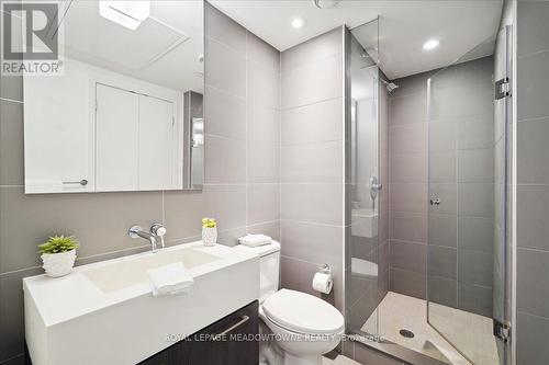 237 - 461 Adelaide Street W, Toronto, ON - Indoor Photo Showing Bathroom