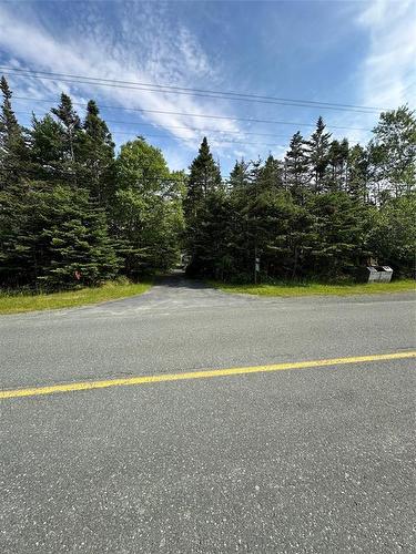 97 Main Road North, Mount Carmel/St. Catherine’S, NL 