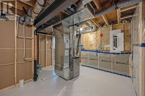 54 Snowy Owl Trail, Central Elgin, ON - Indoor Photo Showing Basement