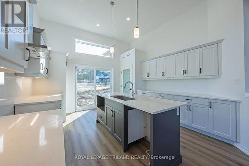 54 Snowy Owl Trail, Central Elgin, ON - Indoor Photo Showing Kitchen With Upgraded Kitchen