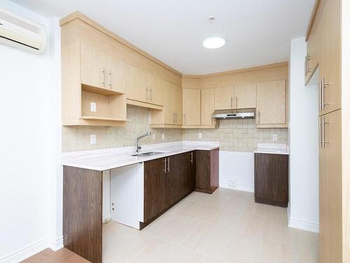 Kitchen - 313-8960 Boul. St-Michel, Montréal (Villeray/Saint-Michel/Parc-Extension), QC - Indoor Photo Showing Kitchen With Double Sink