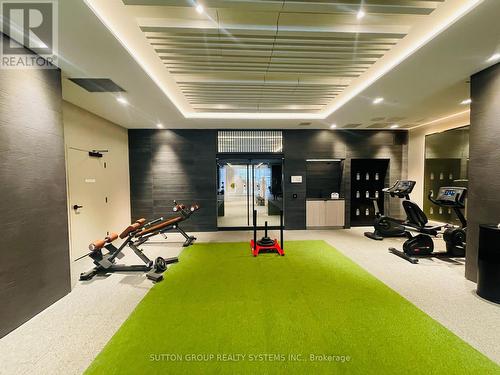 1205 - 319 Jarvis Street, Toronto, ON - Indoor Photo Showing Gym Room