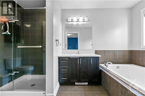 739 White Alder Avenue, Ottawa, ON - Indoor Photo Showing Bathroom