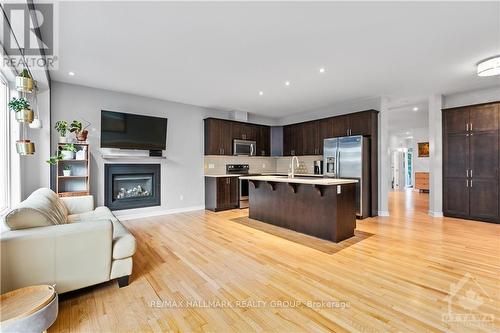 739 White Alder Avenue, Ottawa, ON - Indoor With Fireplace