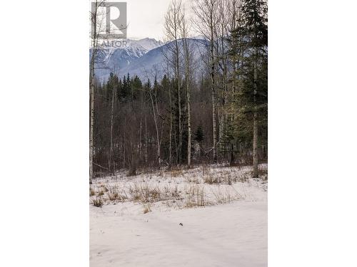 892 Dominion Street, Mcbride, BC - Outdoor With View