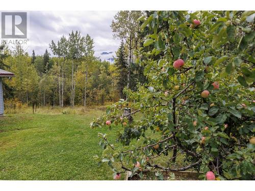 892 Dominion Street, Mcbride, BC - Outdoor