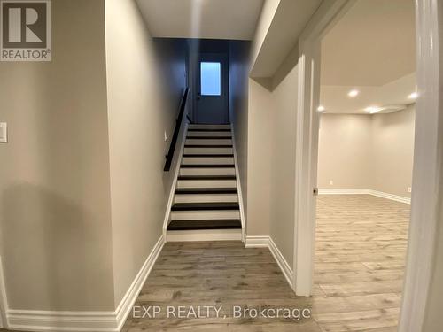 Lower - 40 Locust Terrace, Markham, ON - Indoor Photo Showing Other Room