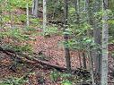 Land/Lot - Ch. Wildwood, Saint-Adolphe-D'Howard, QC 