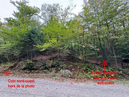 Land/Lot - Ch. Wildwood, Saint-Adolphe-D'Howard, QC 