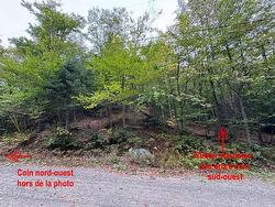 Land/Lot - 