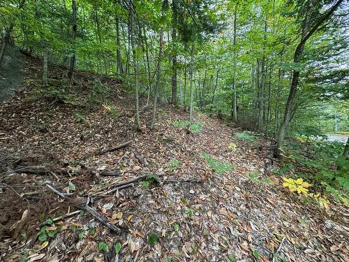 Land/Lot - Ch. Wildwood, Saint-Adolphe-D'Howard, QC 