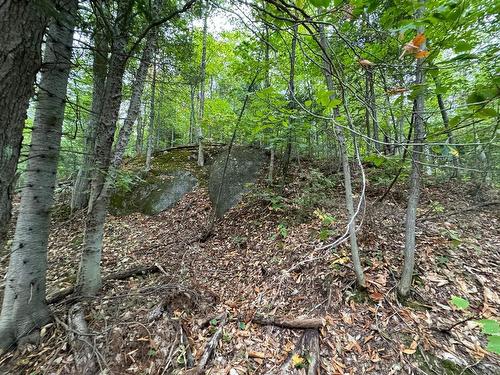 Land/Lot - Ch. Wildwood, Saint-Adolphe-D'Howard, QC 