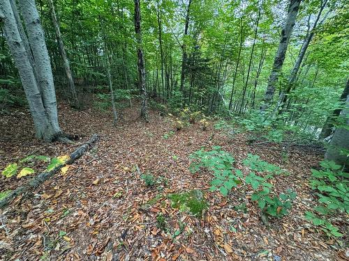 Land/Lot - Ch. Wildwood, Saint-Adolphe-D'Howard, QC 