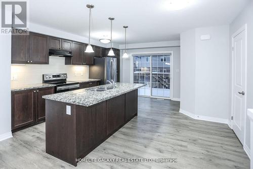 37 Sportsman Hill Street, Kitchener, ON - Indoor Photo Showing Kitchen With Stainless Steel Kitchen With Double Sink With Upgraded Kitchen