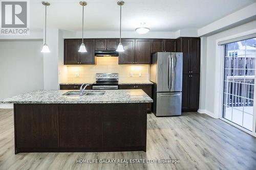 37 Sportsman Hill Street, Kitchener, ON - Indoor Photo Showing Kitchen With Stainless Steel Kitchen With Double Sink With Upgraded Kitchen