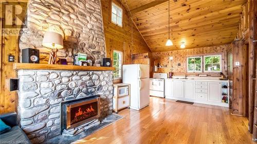 1081 Dyers Bay Road, Northern Bruce Peninsula, ON - Indoor With Fireplace