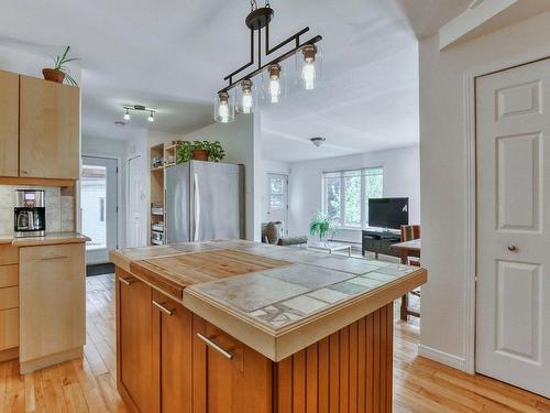 Vue d'ensemble - 108 Rue Du Domaine-Fortier, Saint-Colomban, QC - Indoor Photo Showing Kitchen