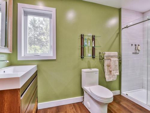 Salle de bains - 108 Rue Du Domaine-Fortier, Saint-Colomban, QC - Indoor Photo Showing Bathroom