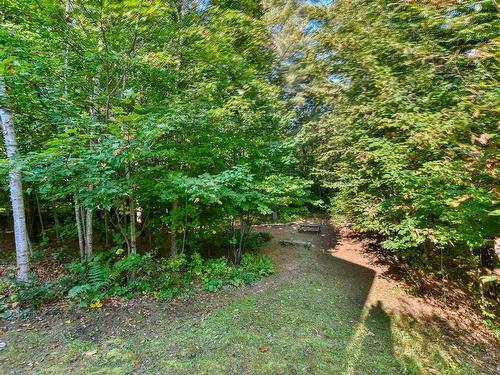 Wooded area - 108 Rue Du Domaine-Fortier, Saint-Colomban, QC - Outdoor