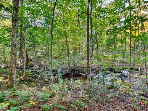 Wooded area - 108 Rue Du Domaine-Fortier, Saint-Colomban, QC - Outdoor