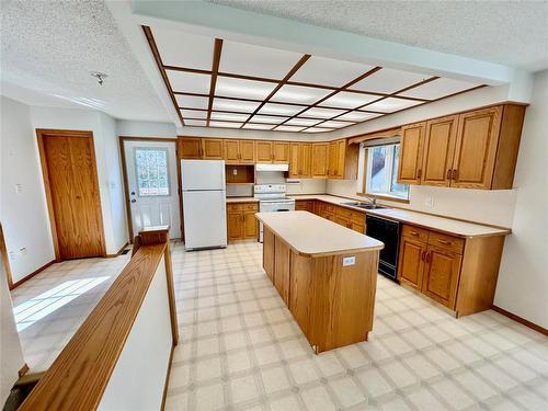 81 12Th Street, Birtle, MB - Indoor Photo Showing Kitchen With Double Sink