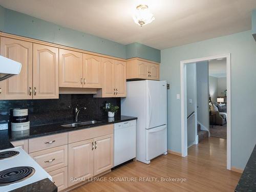 314 11Th Con Rd E, Hamilton, ON - Indoor Photo Showing Kitchen With Double Sink