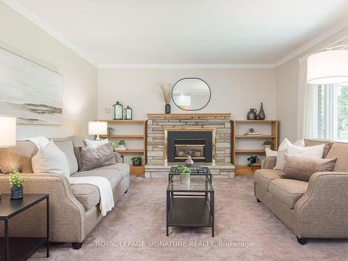 314 11Th Con Rd E, Hamilton, ON - Indoor Photo Showing Living Room With Fireplace