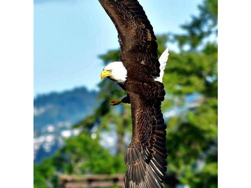 1887 Sea Lion Cres, Nanoose Bay, BC 