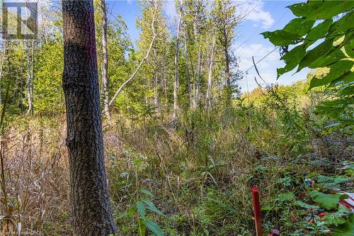 Lot 36 Con D Sauble Falls Parkway, South Bruce Peninsula, ON 