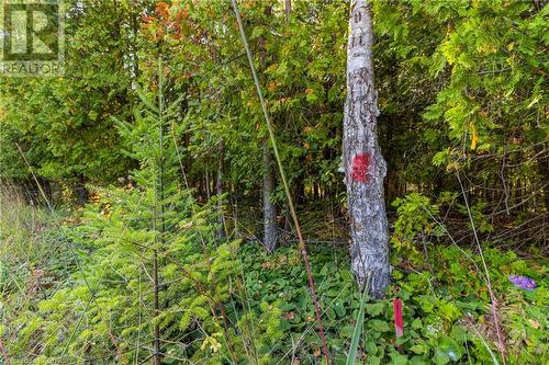 Lot 36 Con D Sauble Falls Parkway, South Bruce Peninsula, ON 