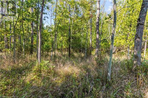 Lot 36 Con D Sauble Falls Parkway, South Bruce Peninsula, ON 