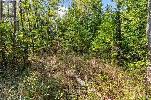 Lot 36 Con D Sauble Falls Parkway, South Bruce Peninsula, ON 