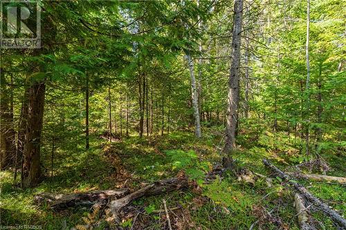 Lot 36 Sauble Falls Parkway, South Bruce Peninsula, ON 