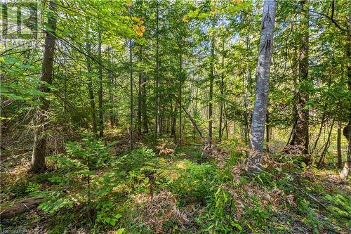 Lot 36 Sauble Falls Parkway, South Bruce Peninsula, ON 