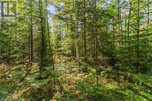 Lot 36 Con D Sauble Falls Parkway, South Bruce Peninsula, ON 