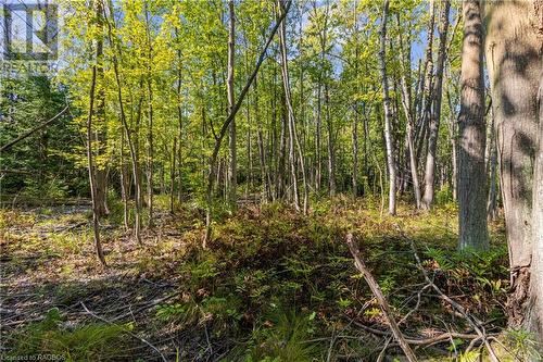 Lot 36 Sauble Falls Parkway, South Bruce Peninsula, ON 