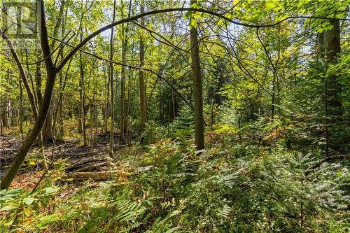 Lot 36 Con D Sauble Falls Parkway, South Bruce Peninsula, ON 