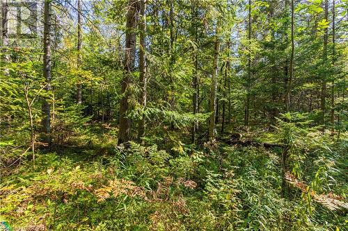 Lot 36 Con D Sauble Falls Parkway, South Bruce Peninsula, ON 