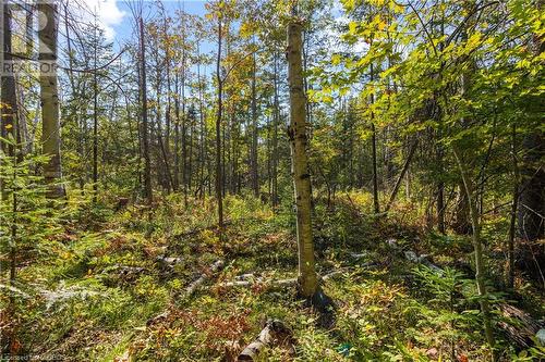 Lot 36 Con D Sauble Falls Parkway, South Bruce Peninsula, ON 