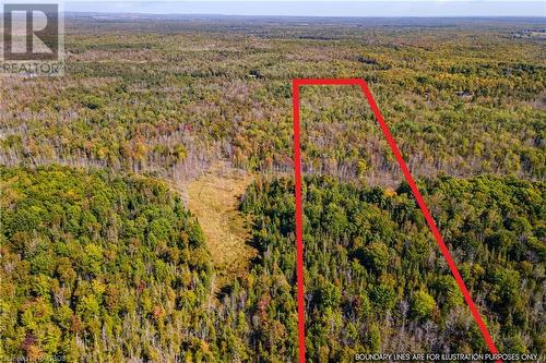 Lot 36 Con D Sauble Falls Parkway, South Bruce Peninsula, ON 